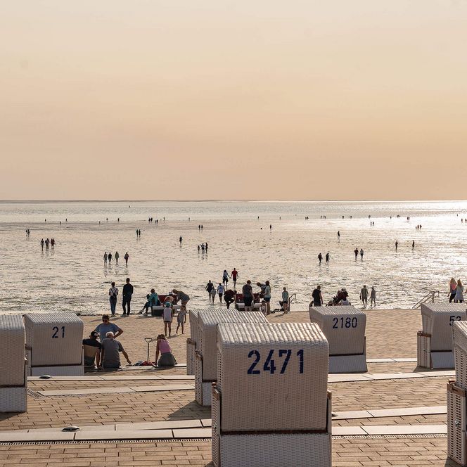 Die Watt-Tribüne am Büsumer Hauptstrand mit Strandkörben und dem Wattenmeer.