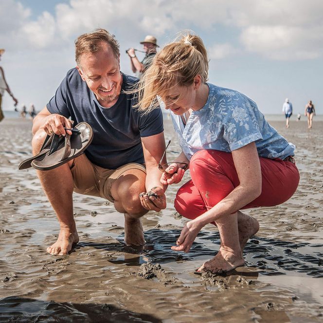 Ein Paar sucht Muscheln im Watt vor Büsum.