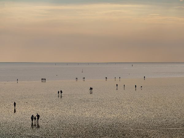 Eine Wattwanderung in der Abenddämmerung