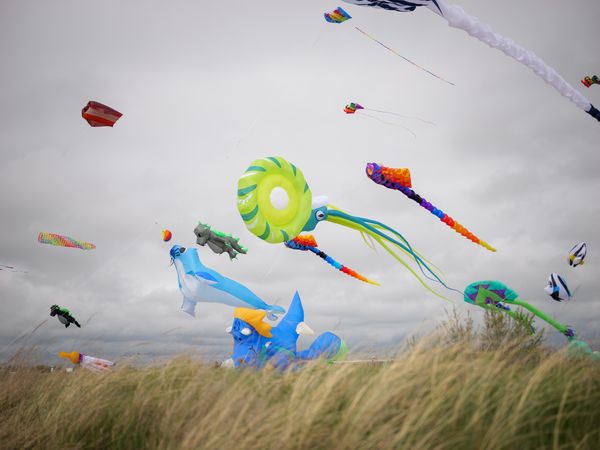 Bunte Drachen am Himmel über dem Strandgras. Im Hintergrund das Meer.