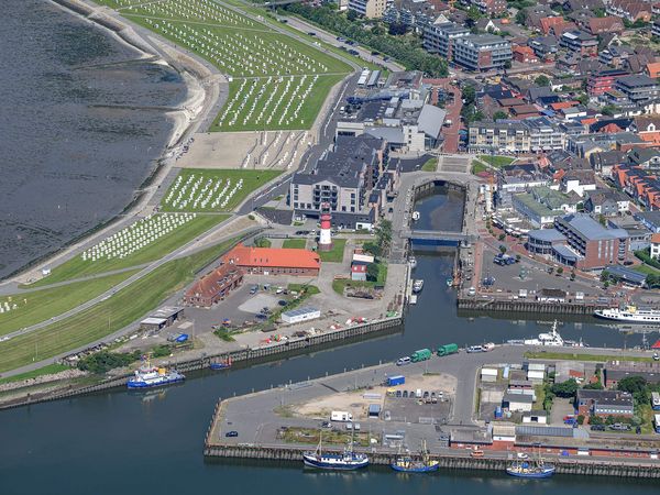 Luftaufnahme von Grünstrand und Hafenbecken in Büsum.