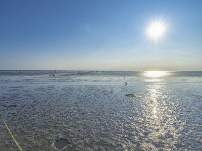 Das Weltnaturerbe Wattenmeer vor Büsum ist eine einzigartige Naturlandschaft, die zum Durchatmen und Entspannen einlädt. 