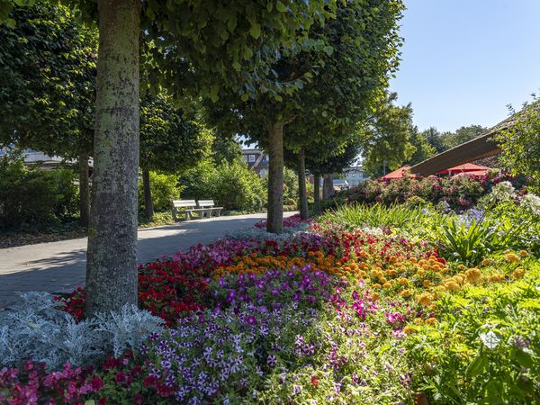 Blütenduft und Frühlingserwachen im Wohlfühlgarten Büsum.