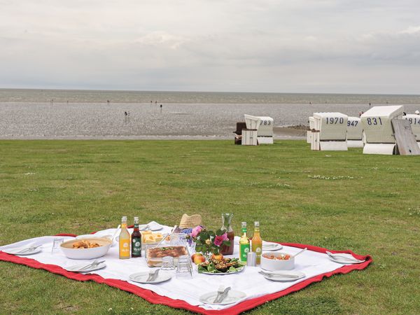 Picknicken am Deich mit Meerblick