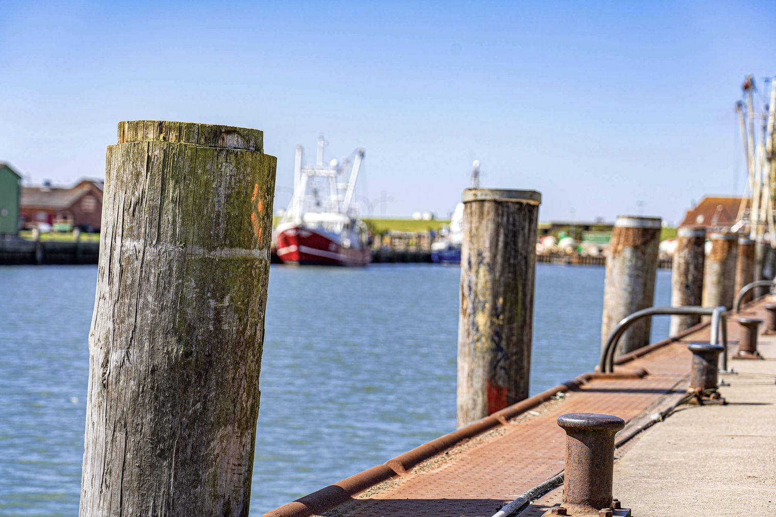 Dalben am Büsumer Hafenbecken.