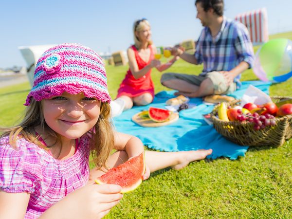 Nicht nur auf dem Deich in Nordseenähe, sondern auch hinter der Küstenlinie laden gemütliche Plätze zu einem Besuch mit Picknickkorb zu einem Essen unter blauem Himmel ein. 