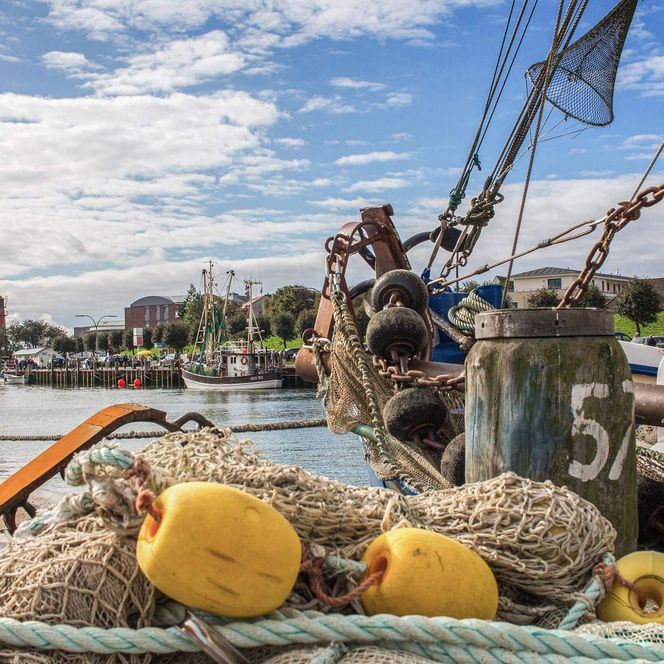 Detailansicht Taue und Knoten im Büsumer Hafen.