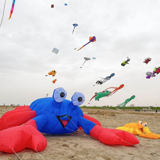 Ein großer Krebs-Drache ist an den Büsumer Drachenflugtagen auf dem Strand der Watt'n Insel aufgebaut.