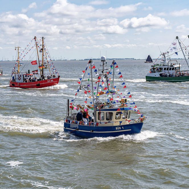 Geschmückte Kutter fahren beim Traditionsschiff-Korso an den Büsumer Kutterregattatagen die Nordseeküste entlang.