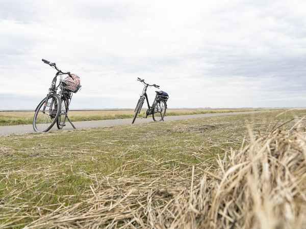 Ein Paradies für Radfahrer – der Nordseeküsten-Radweg.