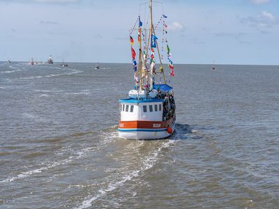 Buesum-Kutterregatta-Kutter.jpg Buesum-Kutterregatta-Kutter