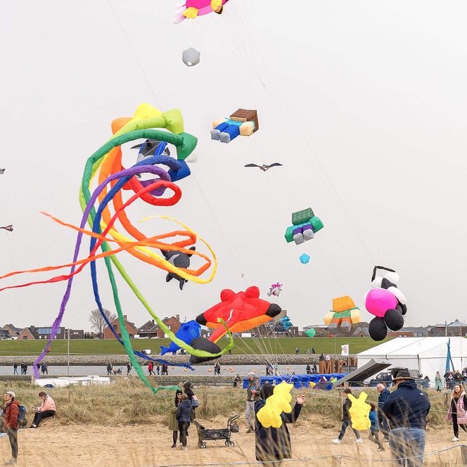Viele bunte Drachen fliegen an den Drachenflugtagen am Himmel der Familienlagune Perlebucht in Büsum.