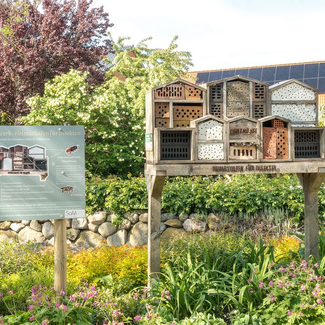 Auf einer Grünfläche steht aus Holz ein Insektenhotel. Daneben steht eine Informationstafel.
