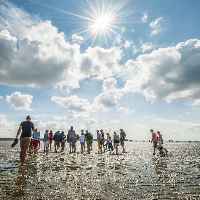 Eine Gruppe steht mit Wattführer Jan Frantzen im Watt vor Büsum.