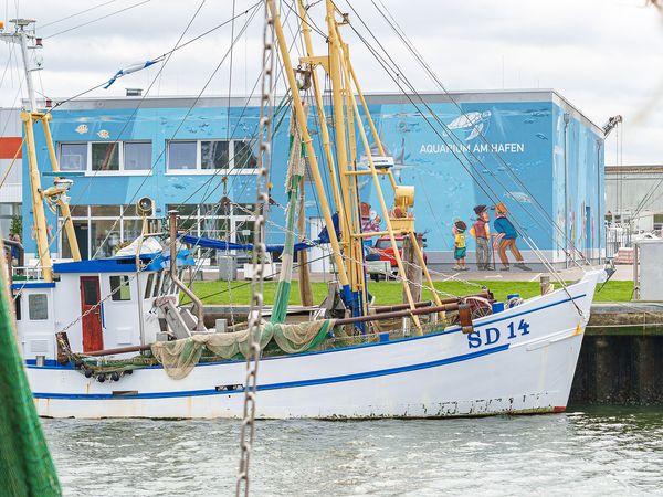 Büsums Hafen – perfekte Kulisse für das museum am meer 