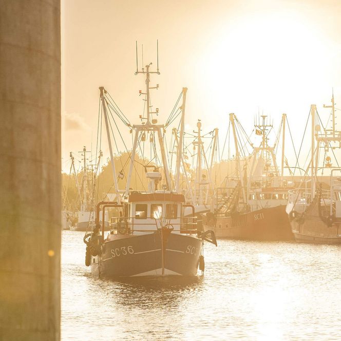 Mehrere Kutter liegen bei Sonnenaufgang im Büsumer Hafen.