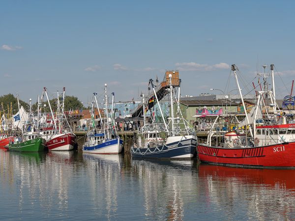 Viele bunte Kutter sind mit Fahnen geschmückt. Sie liegen im Hafen.