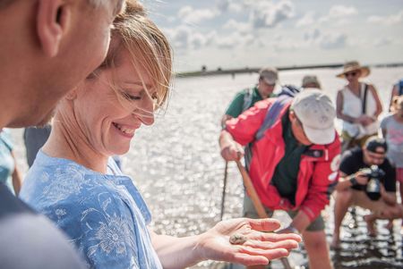 Eine Frau hält bei einer Wattführung in Büsum eine Muschel in der Hand.