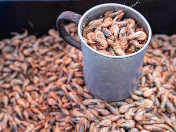 Buesum-Krabben-Becher
