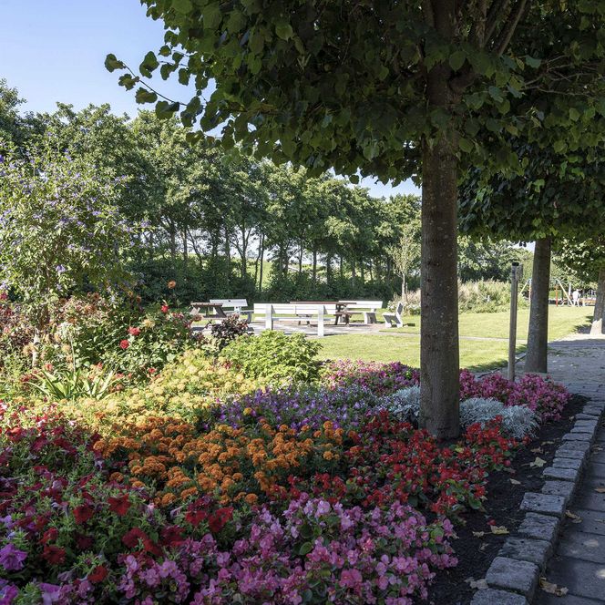 Der blühende Wohlfühlgarten in Büsum.