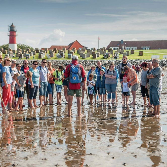 Eine Gruppe steht mit Wattführer Jan Frantzen im Watt vor Büsum.