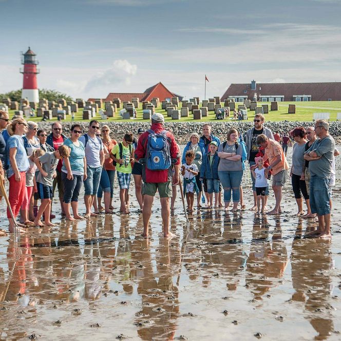 Eine Gruppe steht mit Wattführer Jan Frantzen im Watt vor Büsum.