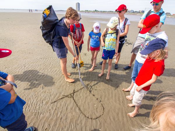 Wattführung der Schutzstation Wattenmeer in Büsum