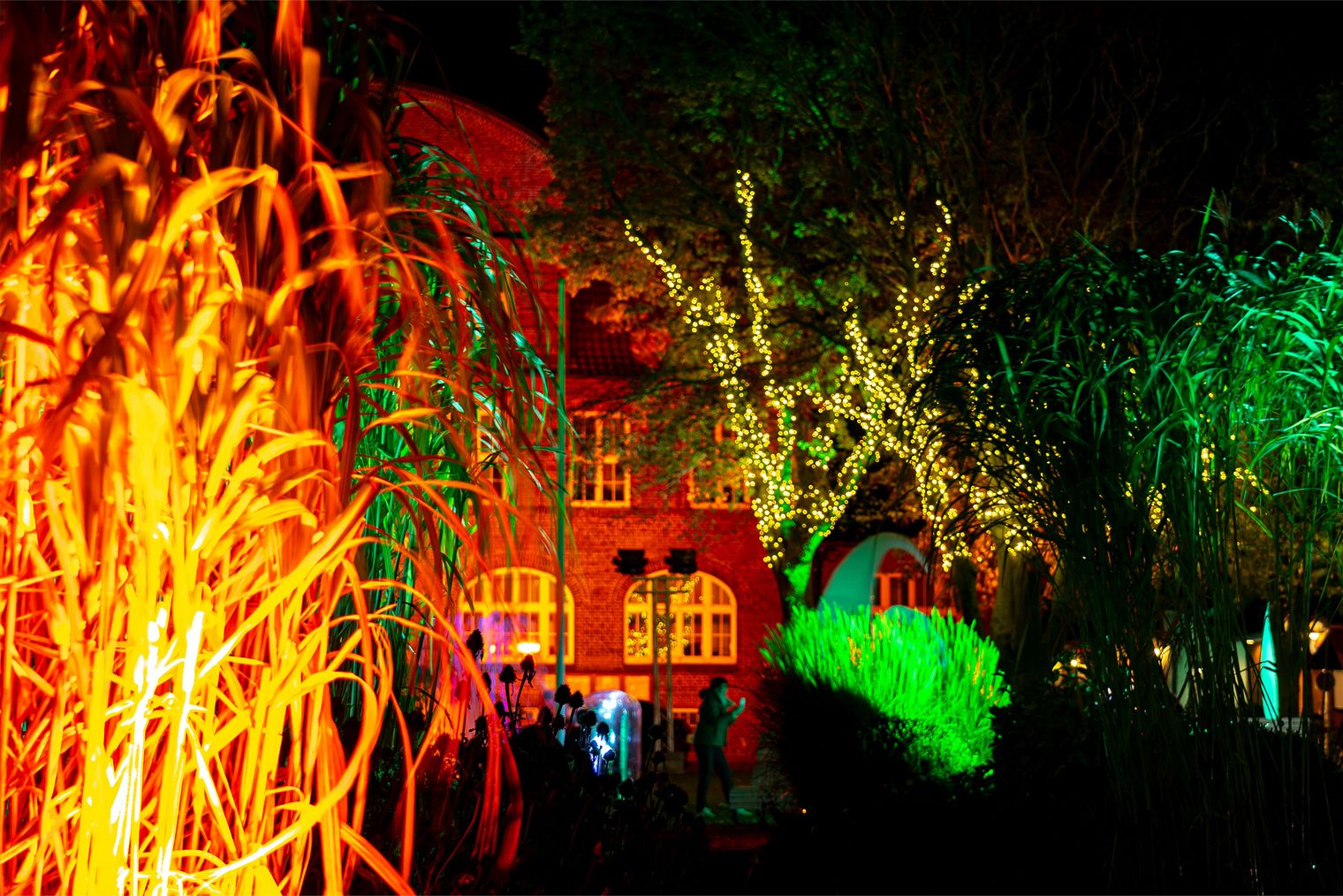 Bunt erleuchtete Bäume und Hausfassade bei Nacht.