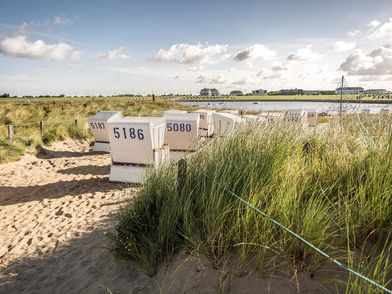Strandkörbe von hinten im Sand, in den Dünen an der Bucht. Blauer Himmeö mit Wolken.