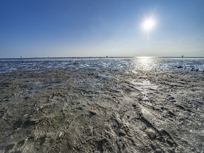 Buesum-Nordsee-Watt-Zeit Das Wattenmeer vor Büsum.