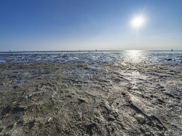 Das Wattenmeer vor Büsum.