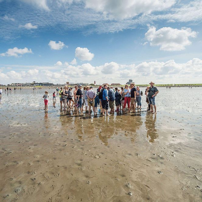 Eine Gruppe steht mit Wattführer Jan Frantzen im Watt vor Büsum.